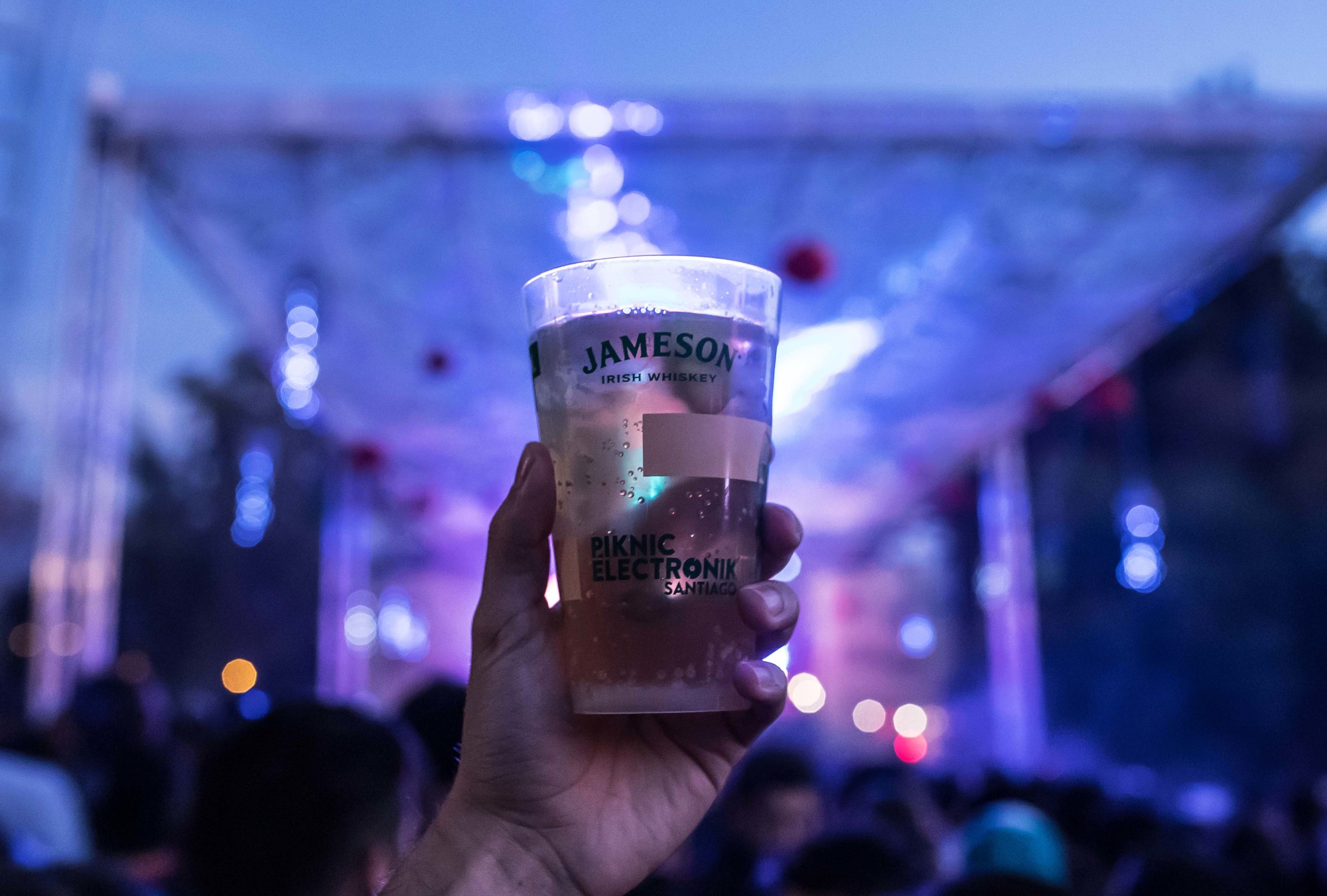 Piknic Electronik 19